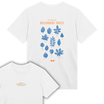 Deciduous tree - Mens Regular Tee